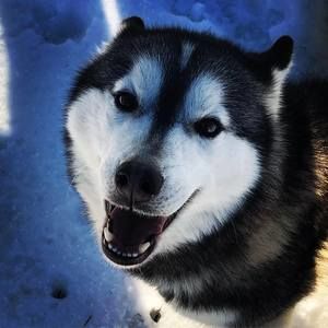 Meet your Posher, Lani